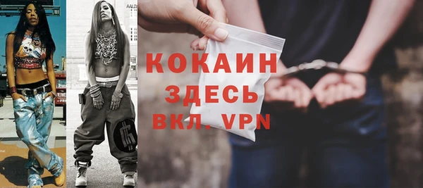 индика Коряжма