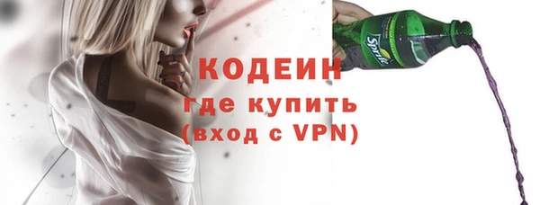 индика Коряжма