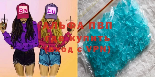 индика Коряжма