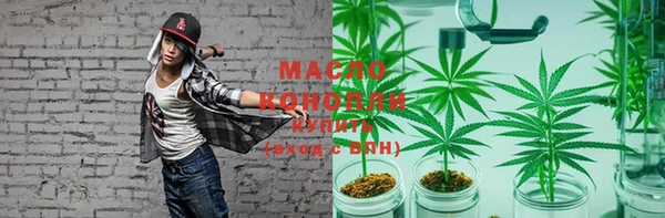 индика Коряжма