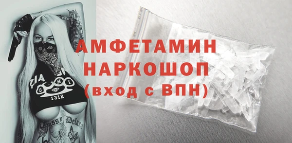 индика Коряжма