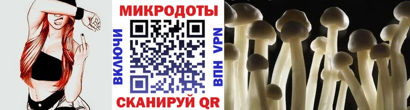 Галлюциногенные грибы Magic Shrooms  Ржев 