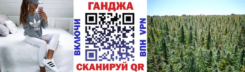 сайты даркнета состав  наркотики  Ржев  Бошки Шишки планчик 
